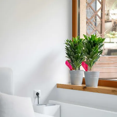 アパート Piekny Z Ogrodkiem I Tarasem & Parking By Renters ポズナン